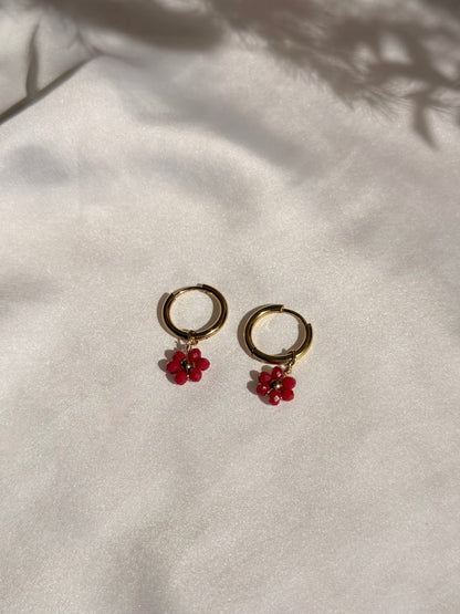Créoles DOUCEUR